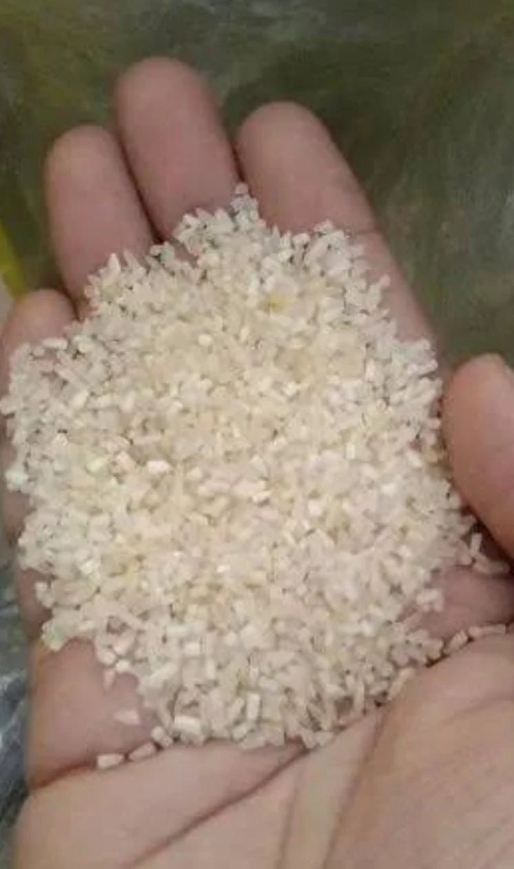 Rice product sample