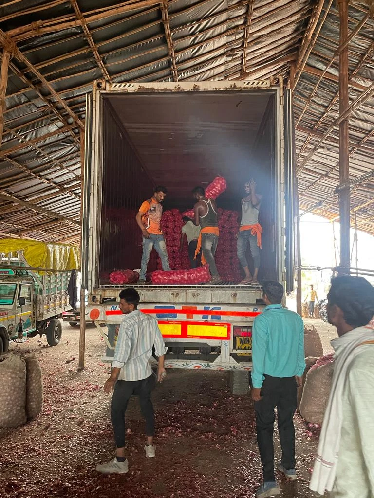 Onion container loading activity