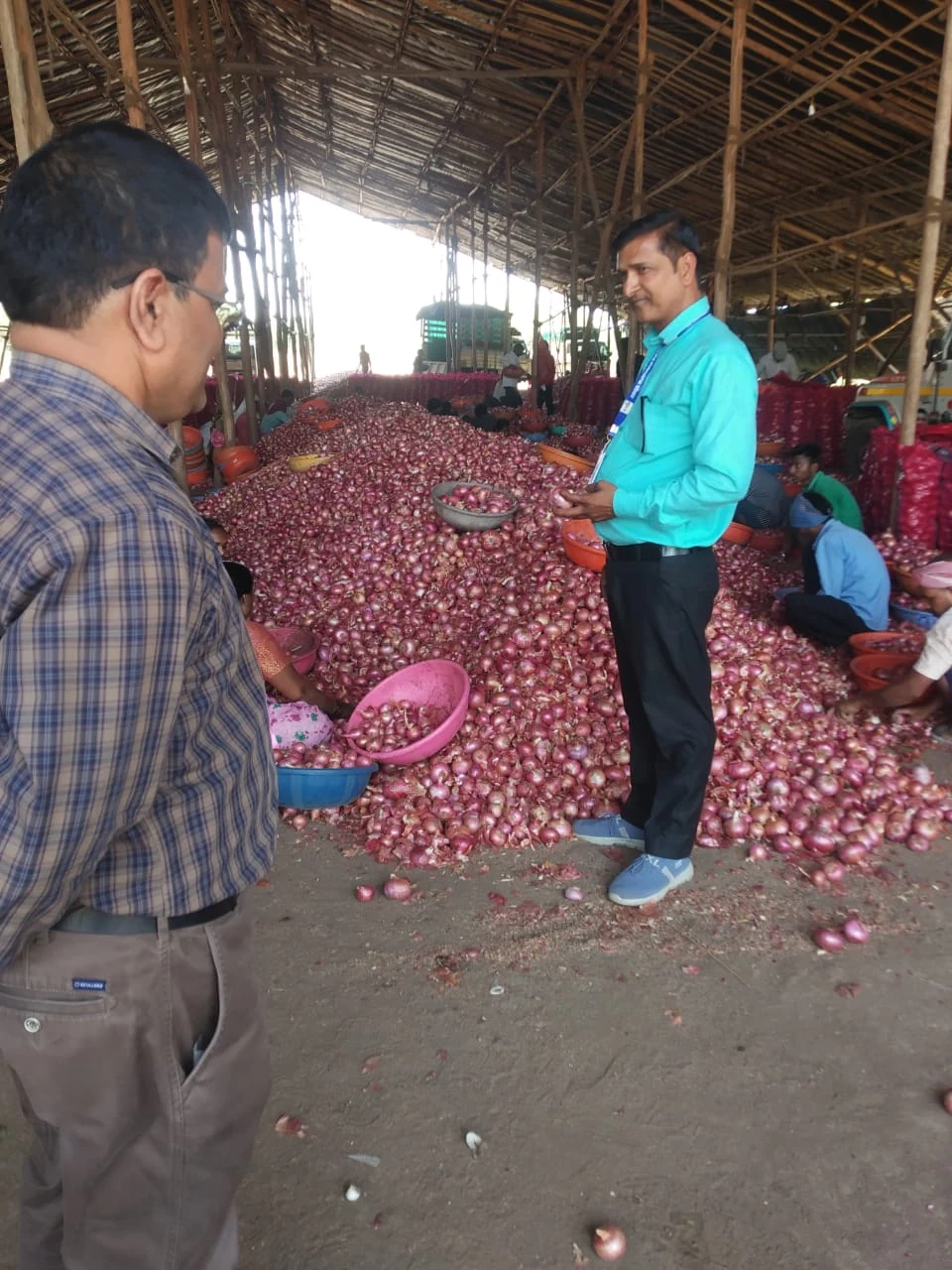 Onion quality inspection at source