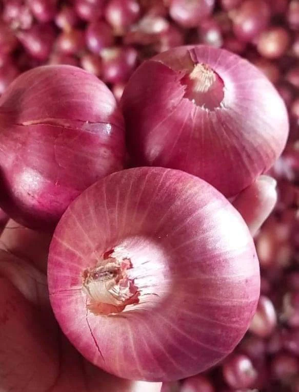 Red onion product sample